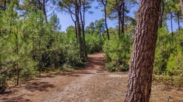 Photo de Plage de Pen Bron