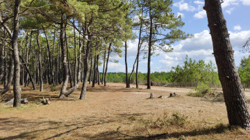 Photo de Plage de Pen Bron