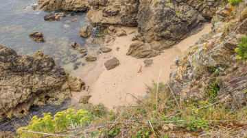 Photo de Plage de la Petite Valée