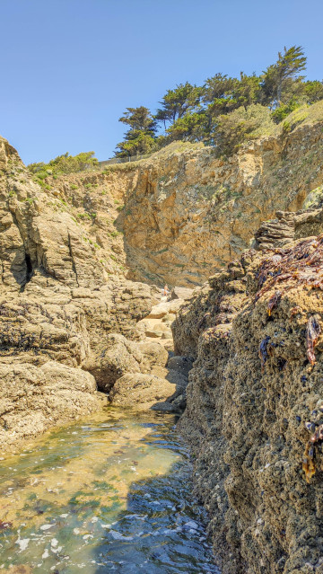 Photo de Plage de la Petite Valée