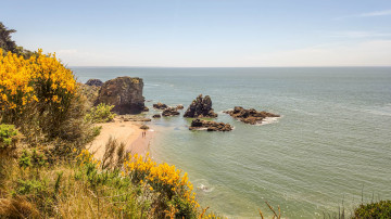 Photo de Plage de la Petite Valée