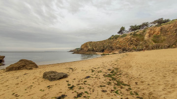 Photo de Plage de la Petite Valée