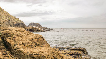 Photo de Plage de la Petite Valée